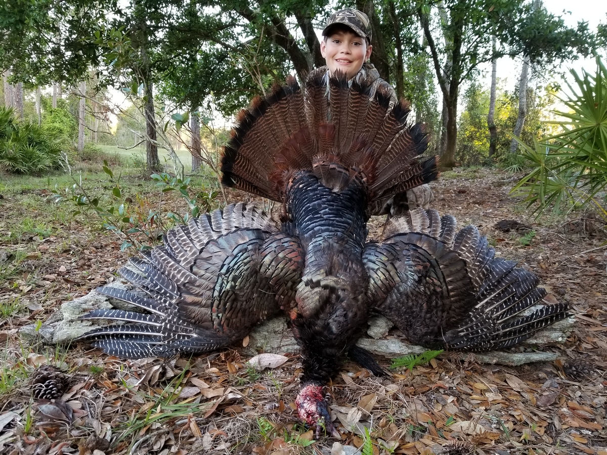 Osceola Turkey Hunting In Florida Florida Osceola Turkey Hunting Osceola Turkey Hunting In Florida Florida Osceola Turkey Hunting