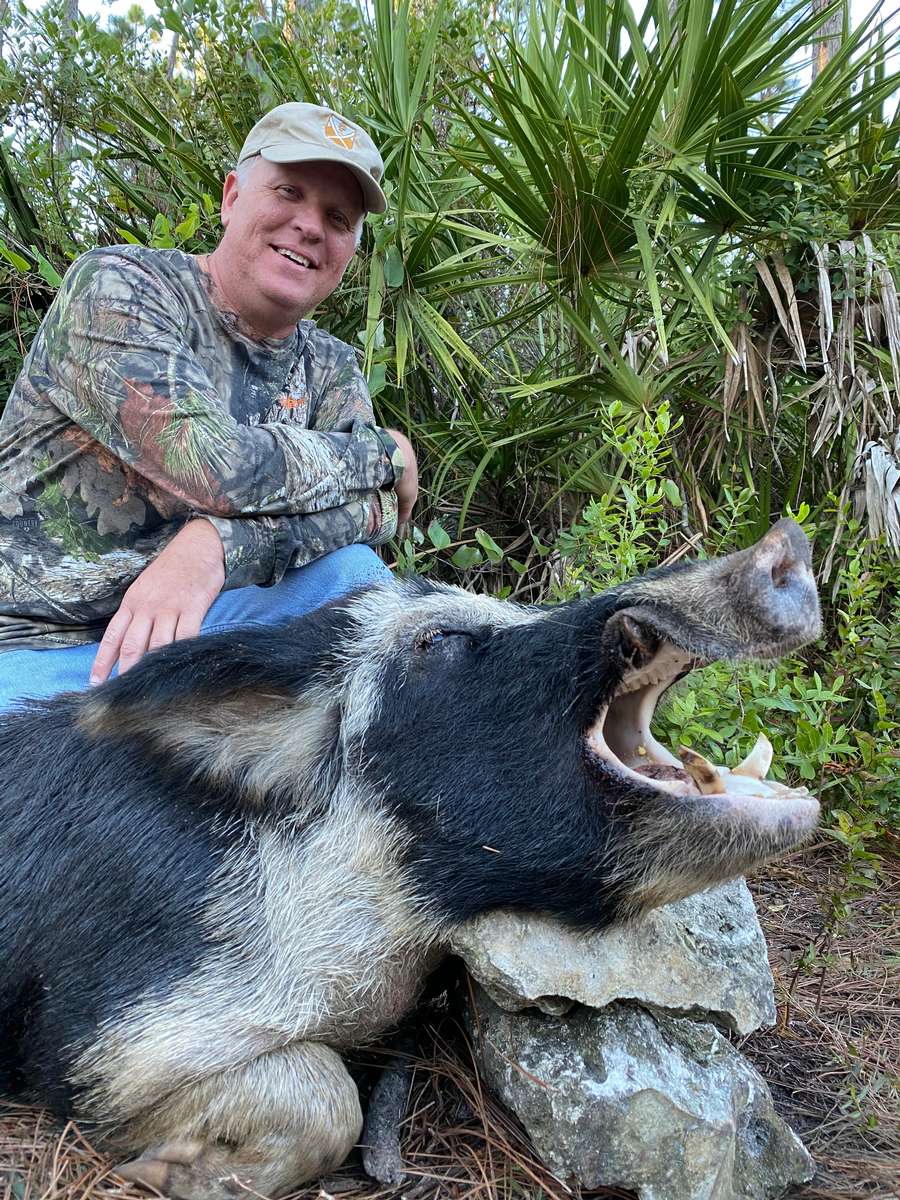 History hog hunts in florida